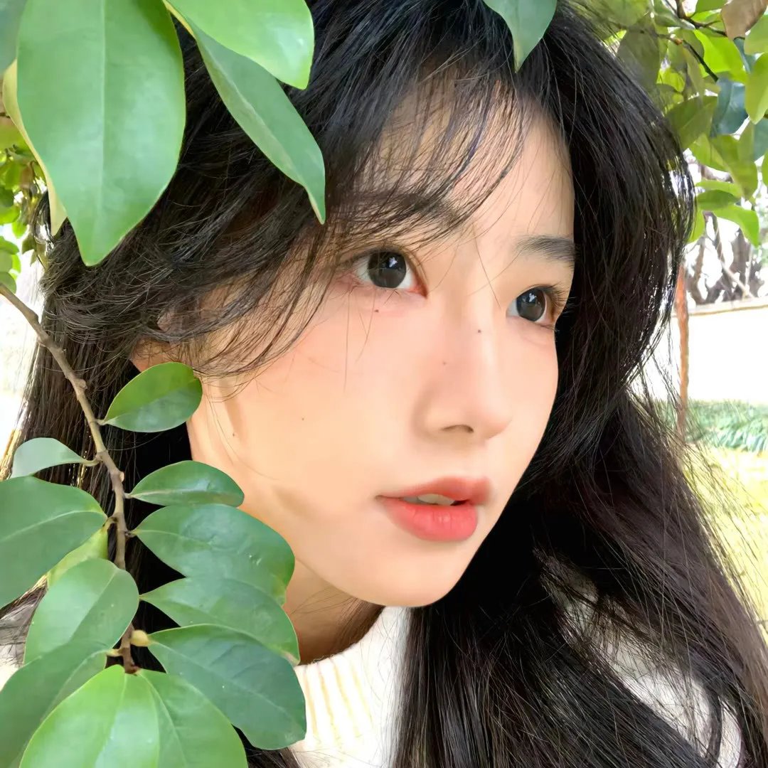 京城学校：消失的少女们